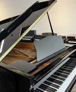 YAMAHA C2