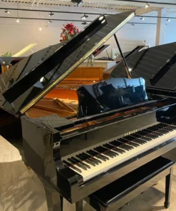 YAMAHA C2