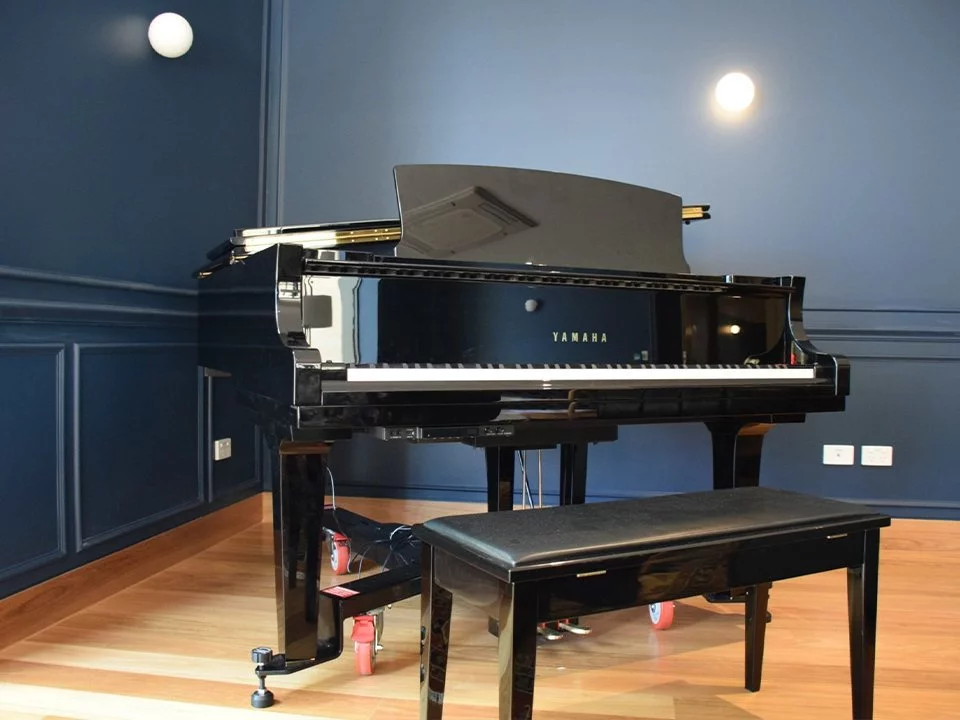 YAMAHA C2