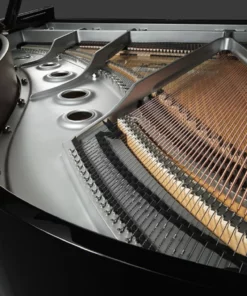 YAMAHA C2X Chrome SH3 (Limited Edition)