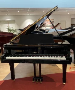 YAMAHA C3 SW