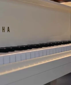 YAMAHA C3 Wh