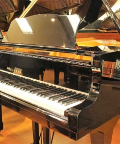 YAMAHA C3B PW Autoplay