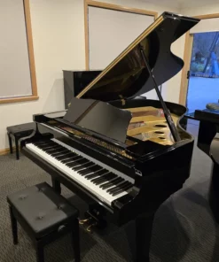 YAMAHA C3E