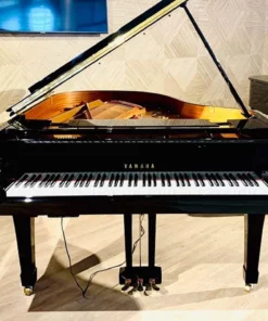 YAMAHA C3E