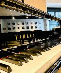 YAMAHA C3E