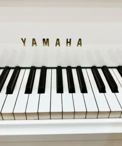 YAMAHA C5 Wh