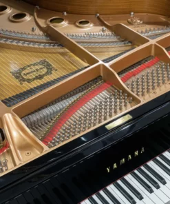 YAMAHA C5 Wh