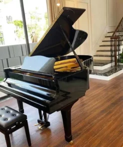 YAMAHA C5 PE