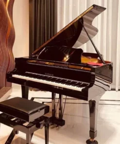 YAMAHA C5