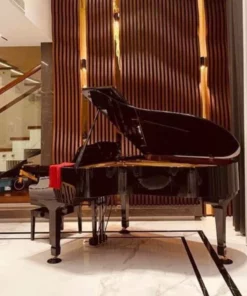 YAMAHA C5