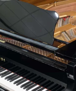 YAMAHA C5