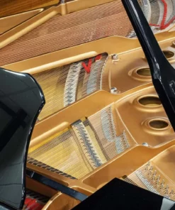 YAMAHA C5