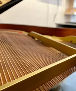 YAMAHA C5