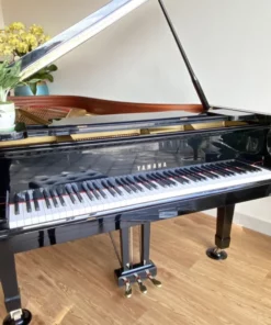 YAMAHA C5A PE Seri 4