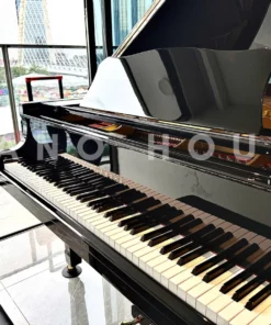 YAMAHA C5A PE Seri 4