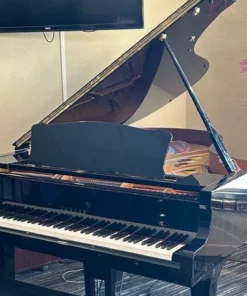 YAMAHA C5E