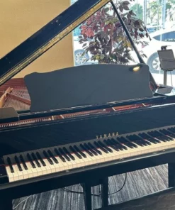 YAMAHA C5E