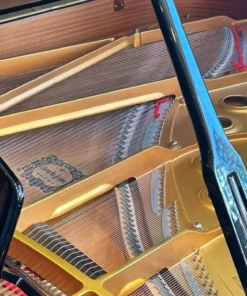 YAMAHA C5E