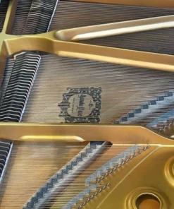 YAMAHA C5E