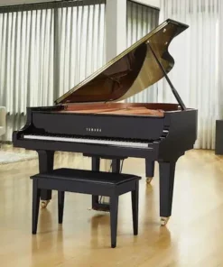 YAMAHA C6 PE