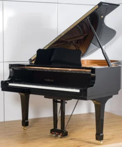 YAMAHA C6 PE