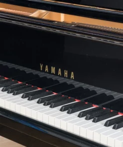 YAMAHA C6 PE