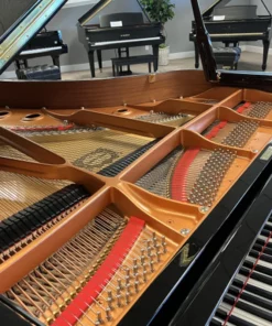 YAMAHA C7