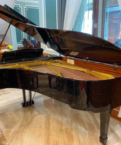YAMAHA C7 Seri 3.3