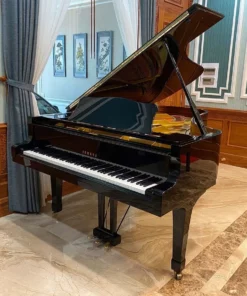 YAMAHA C7A