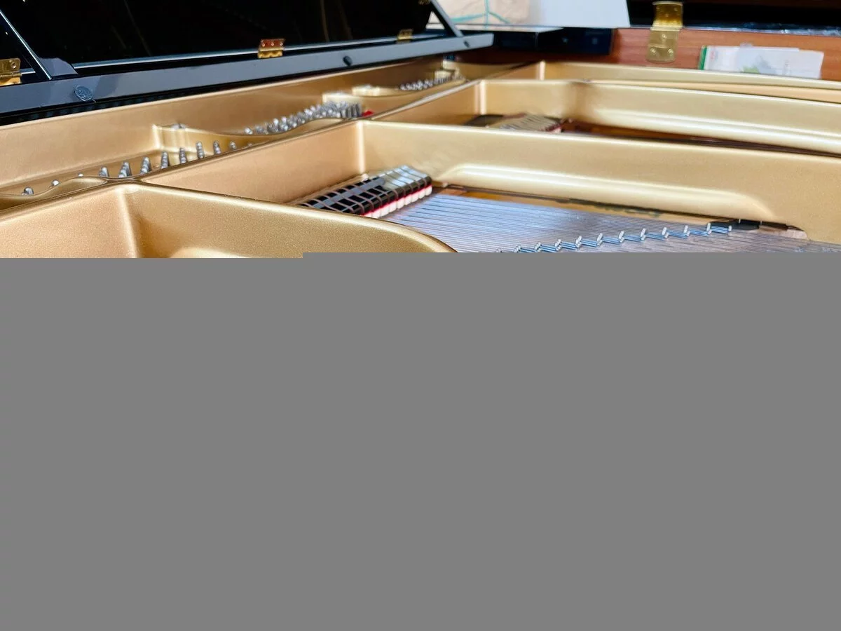 YAMAHA C7B seri 4.8
