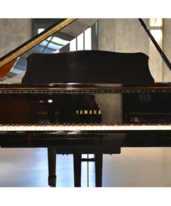 YAMAHA C7B
