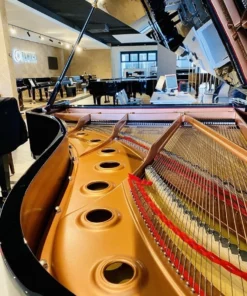 YAMAHA C7X PE