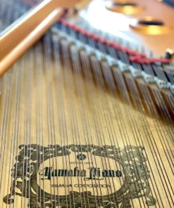 YAMAHA C7X PE