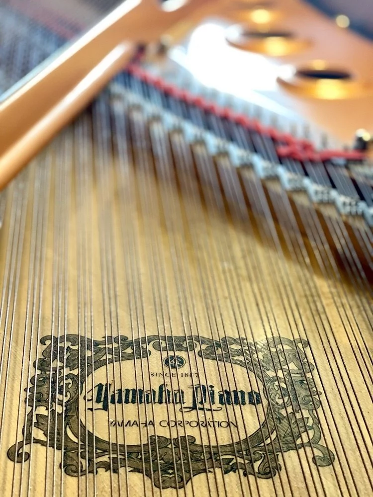 YAMAHA C7X PE - Nah Music