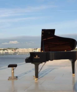YAMAHA CF6 PE