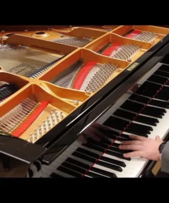 YAMAHA CF6 PE