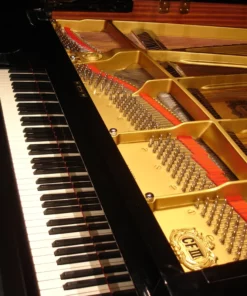 YAMAHA CFIIIS