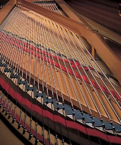 YAMAHA CFIIIS