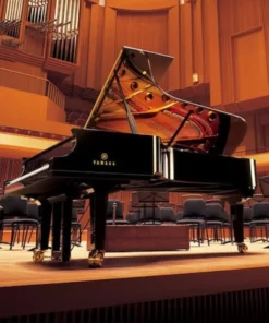 YAMAHA CFX (2010)