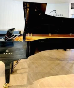 YAMAHA CFX (2010)