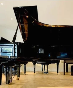YAMAHA CFX (2010)