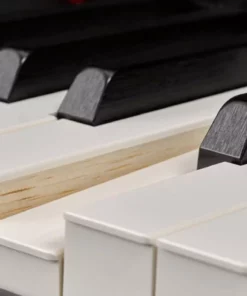 YAMAHA CLP-585 PE