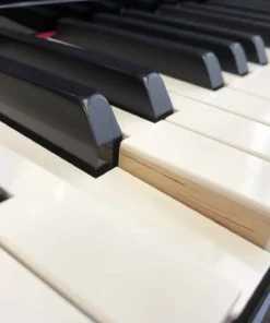 YAMAHA CLP-645 PE
