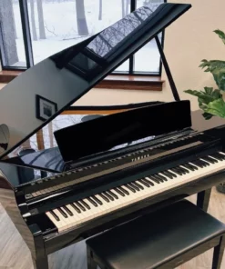 YAMAHA CSP-295GP PE