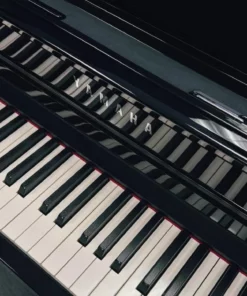 YAMAHA CSP-295GP PE
