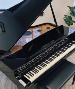 YAMAHA CSP-295GP PE