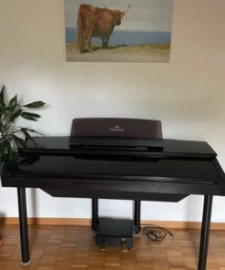 Yamaha CVP 10