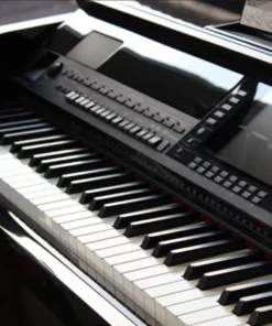 YAMAHA CVP-503 R