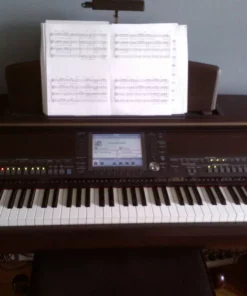 YAMAHA CVP-407 R